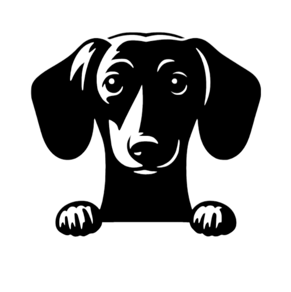 Dachshund Dog Puppy Peeking Vinyl Graphic Auto Wall Laptop Decal Animal Sticker‎